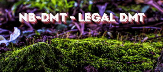 NB DMT Legales DMT