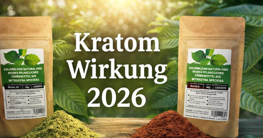 Kratom Wirkung 2026 mit Kratom Sorten im Überblick sowie Wirkungseintritt, Wirkungsdauer und Unterschiede zwischen White und Red Kratom